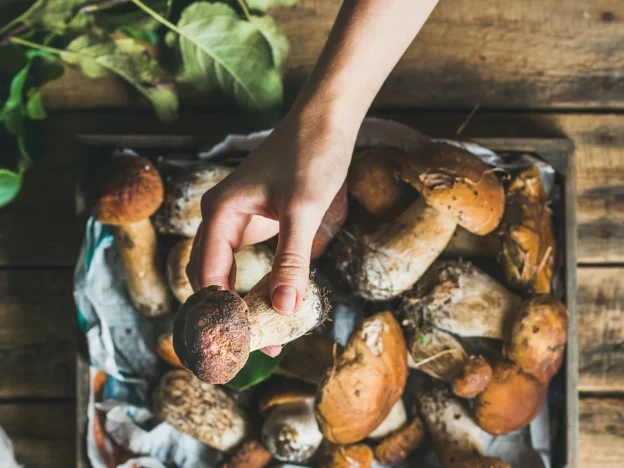 What are the advantages of acquiring high-quality mushrooms?